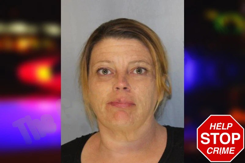 Melissa Pina Mugshots