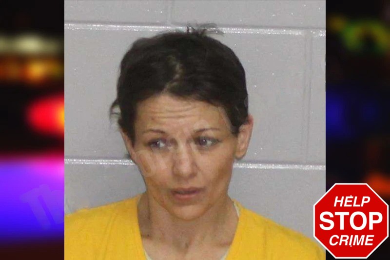 Melissa Skomer mugshot