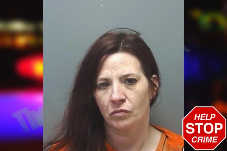 Melissa Smith mugshot – Cherokee County , Georgia Melissa Smith