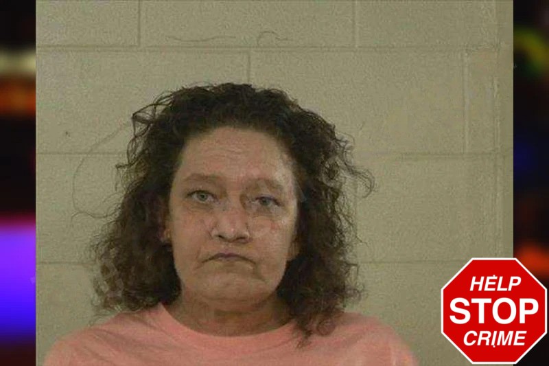 Melissa Southerland mugshot