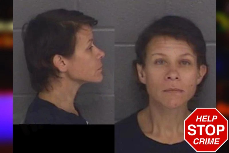Melynda McInnis Mugshots
