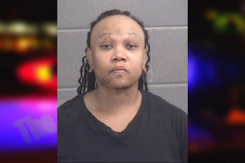 Miakeylia Ellison mugshot
