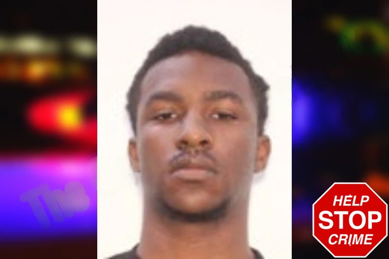 Michael Holmes Mugshots