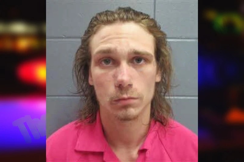 Michael Logan Mugshots