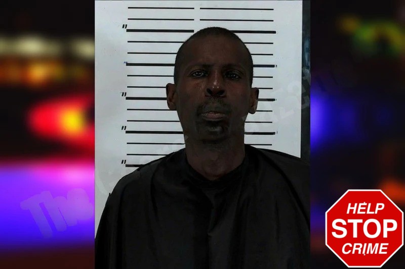 Michael Wilkins Mugshots