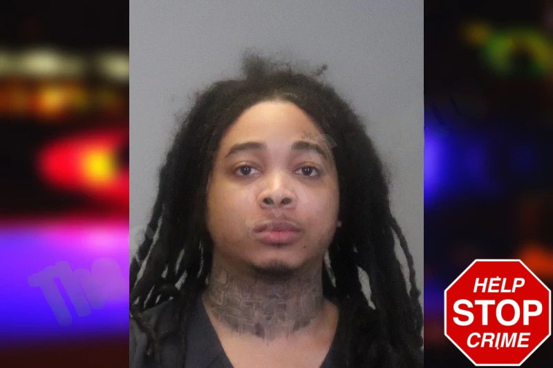 Michael York mugshot