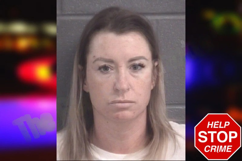 Michaelann Pitts Mugshots