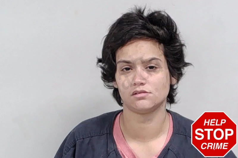 Michelle Acevedo Mugshots