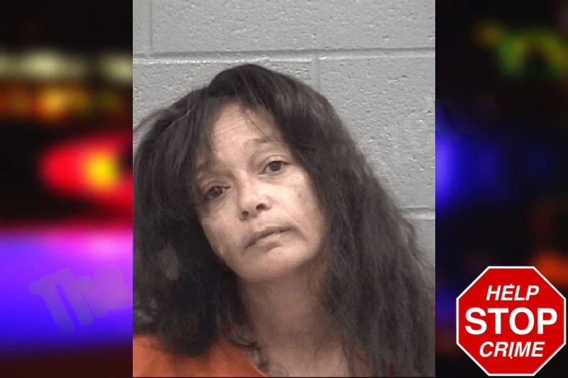 Michelle Barnes Mugshots