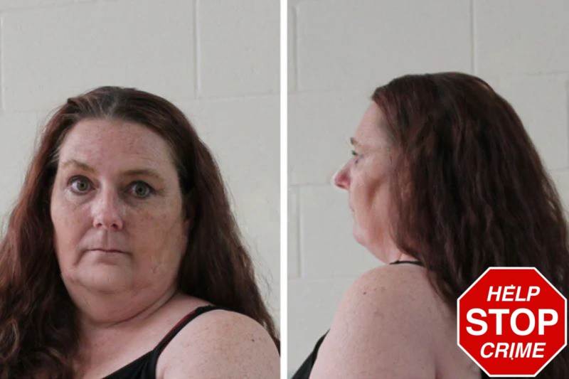 Michelle Chafin Mugshots