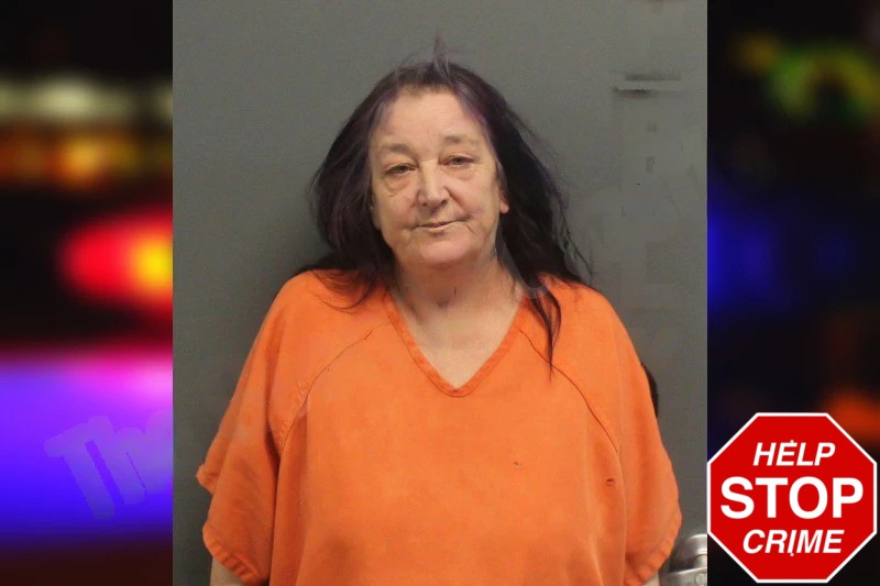 Michelle Coberly Mugshots