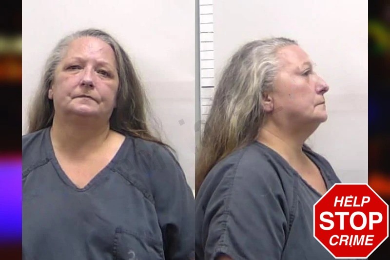 Michelle Defoe Mugshots