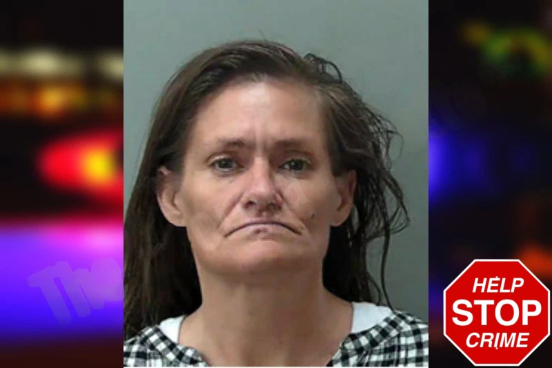 Michelle Harper Mugshots