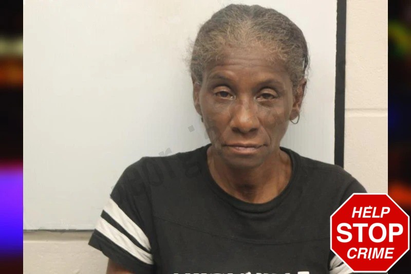 Michelle Jackson Mugshots