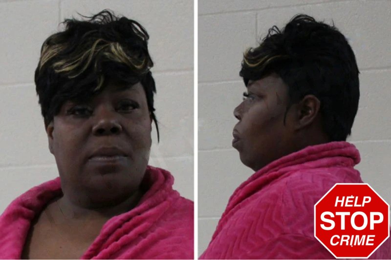 Michelle Middlebrooks Mugshots