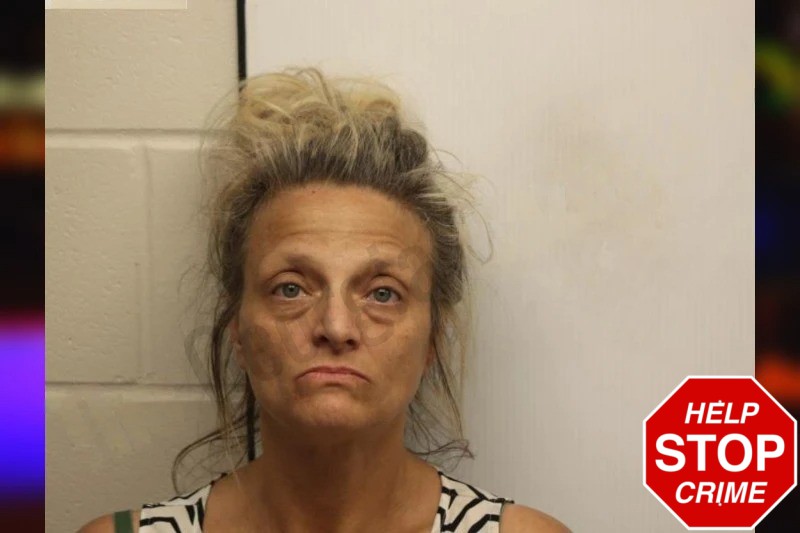 Michelle Pullen Mugshots