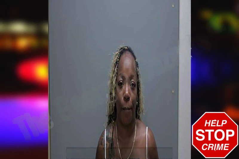 Michelle Robinson Mugshots