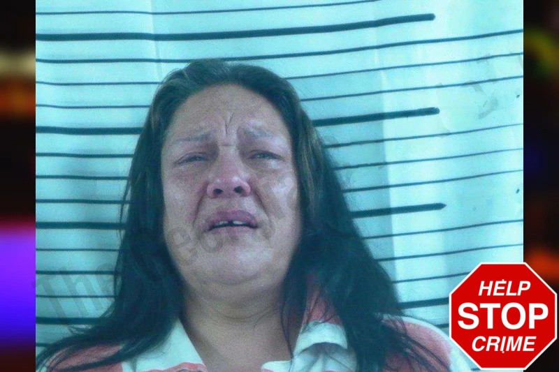 Michelle Robinson Mugshots