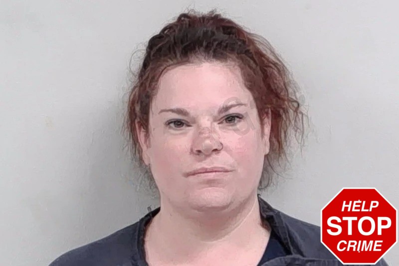 Michelle Sells mugshot