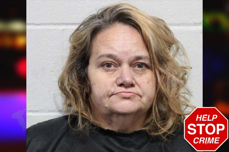 Michelle Turner Mugshots