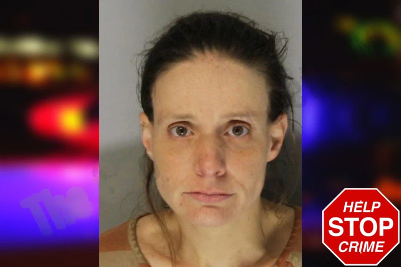 Michelle Witcher Mugshots