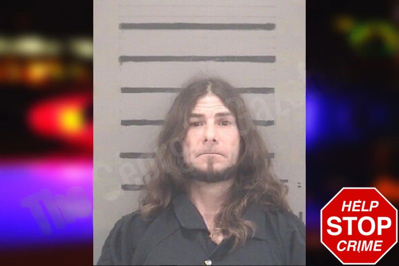 Mickel Wilkes Mugshots