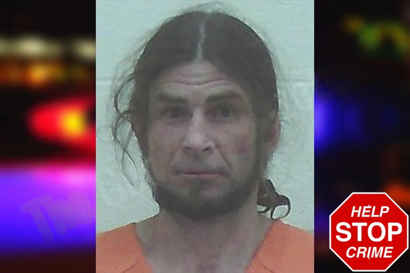 Mickel Wilkes mugshot