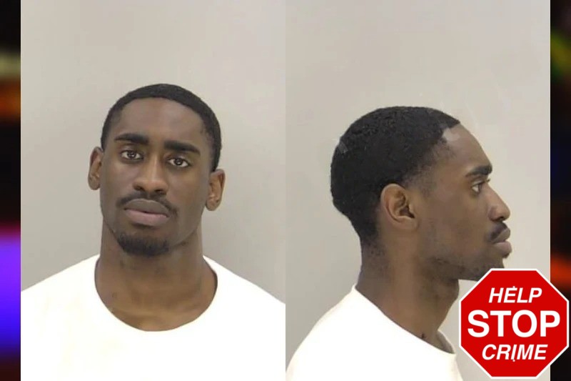 Mickey Pahn Mugshots