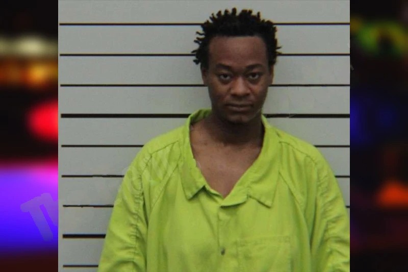 Miesha Stubbins Mugshots