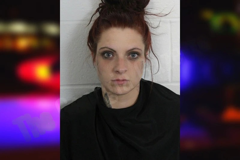 Mikayla Sisson Mugshots