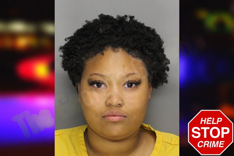 Milan Medley mugshot