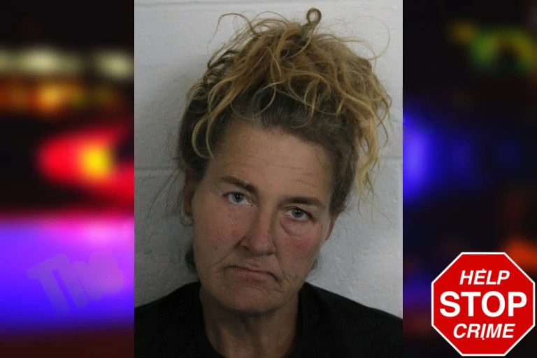 Milie Wilson mugshot – Floyd County , Georgia Milie Wilson