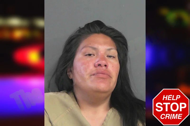 Minnie Jarvis Mugshots