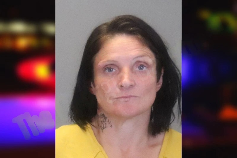 Misty Jernigan Mugshots