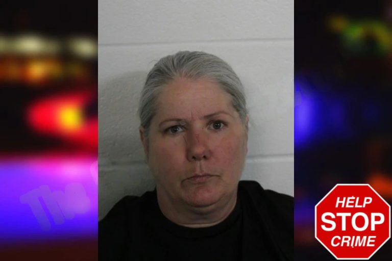 Misty Patterson mugshot – Floyd County , Georgia Misty Patterson