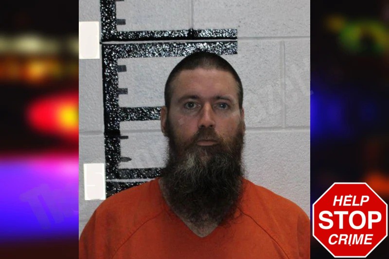 Mitchell Phillips Mugshots