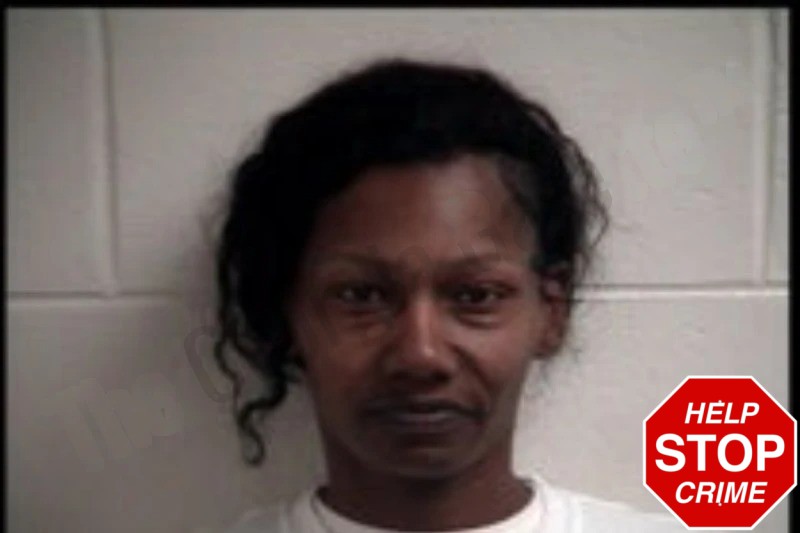 Monica Boyd Mugshots