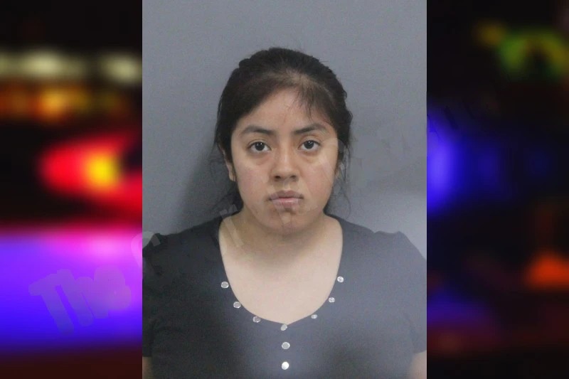 Monica Loarca Lucas Mugshots