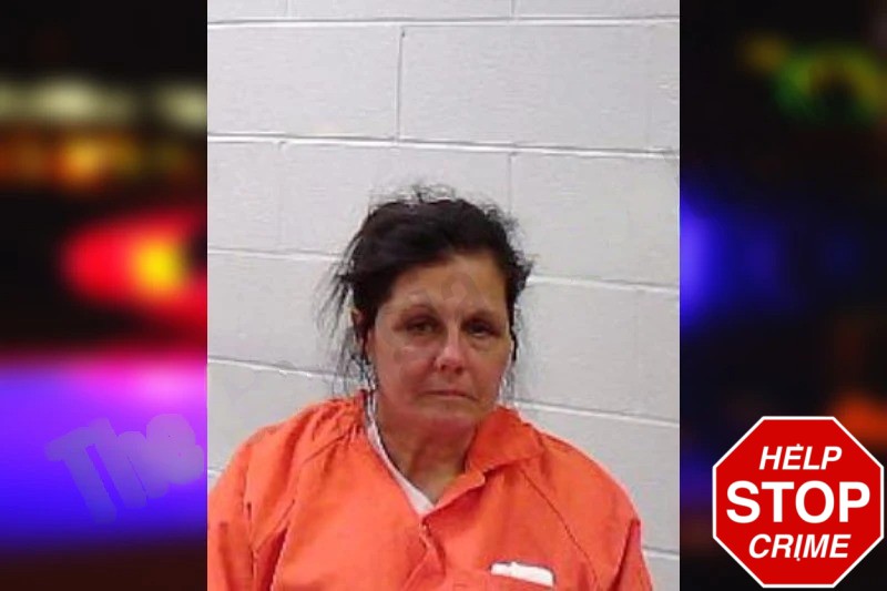 Monica Mardarsz Mugshots