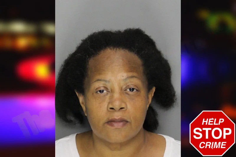 Monica Turner mugshot – Cobb County , Georgia Monica Turner mugshot