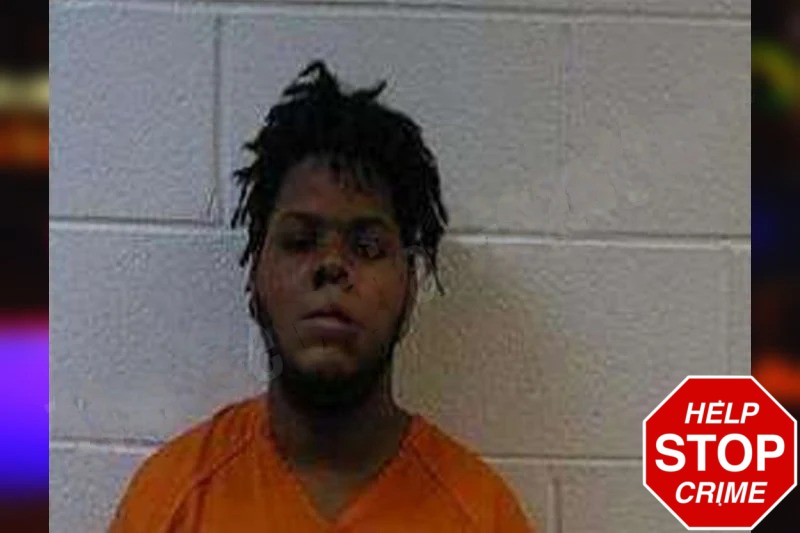 Morgan Cummings Mugshots