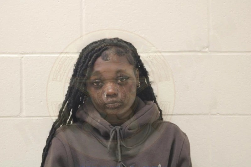 My’Eshia Dillard Mugshots