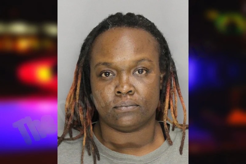 Nadege Ducrepin Mugshots