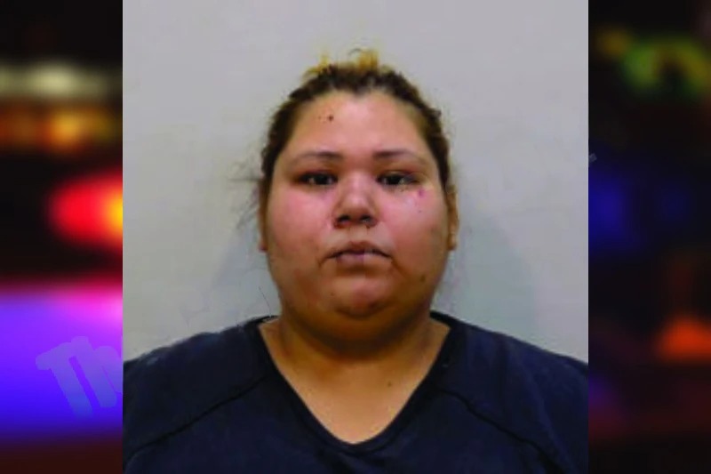 Nanci Sanabria Mugshots