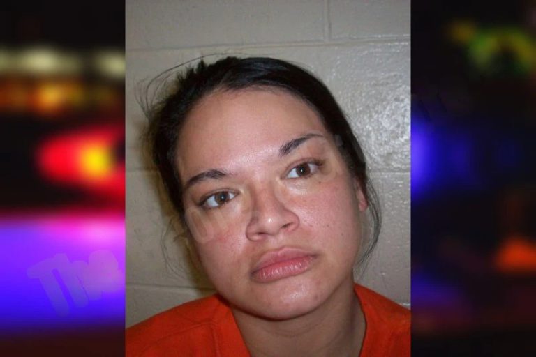Narisa Johnson mugshot – Cherokee County , Georgia Narisa Johnson