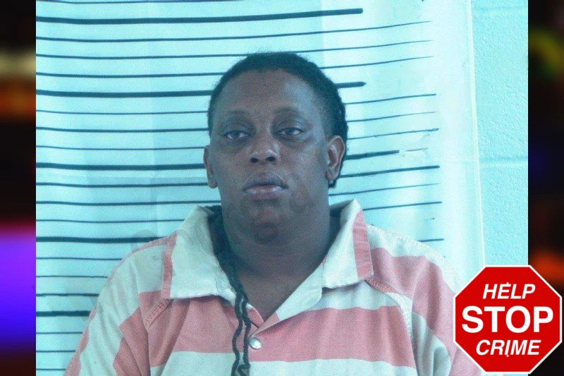 Narquacia Ellington Mugshots