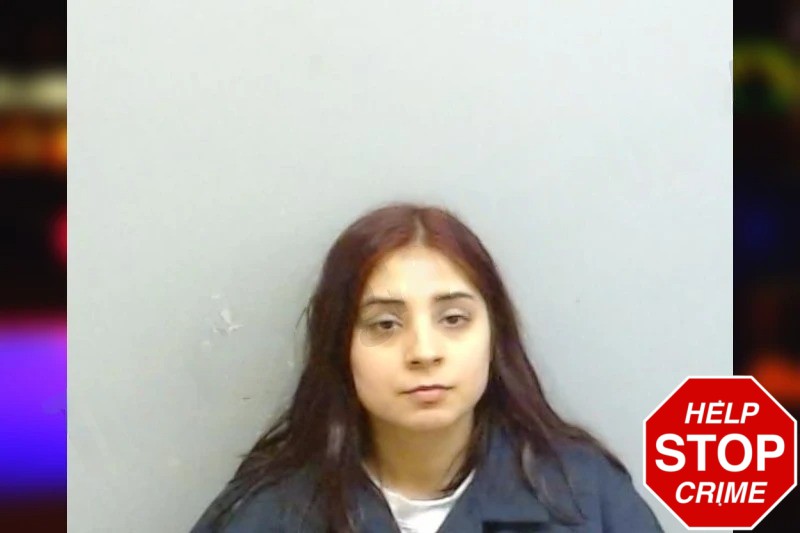 Natali Castillo Mugshots