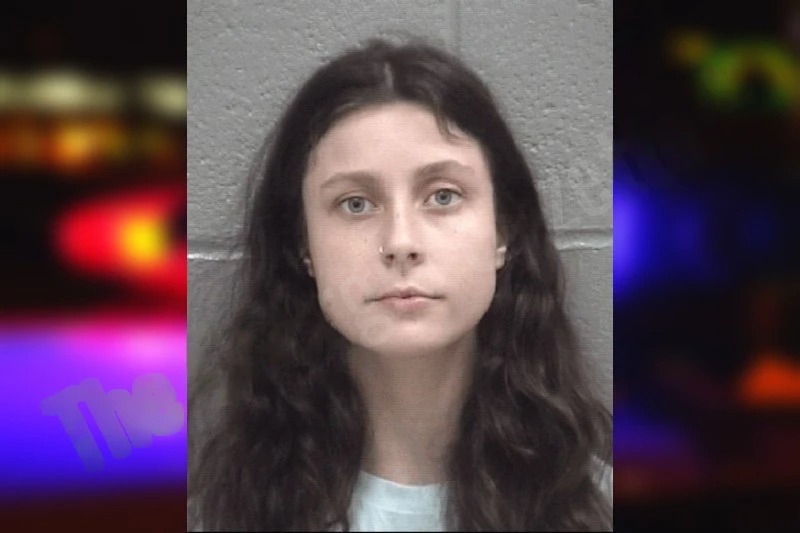 Natalie Davis Mugshots