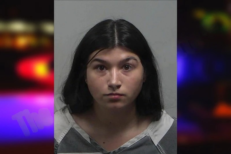 Natalie Lyle Mugshots