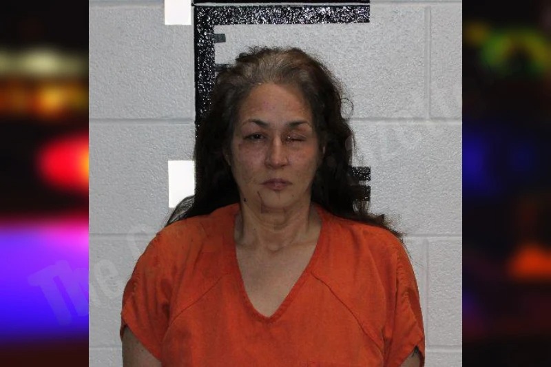 Natalie Summerour Mugshots